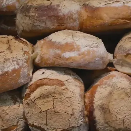 The Palm Court * St. Paul's Bay