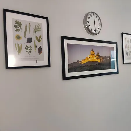 The Palm Court סיינט פול ביי