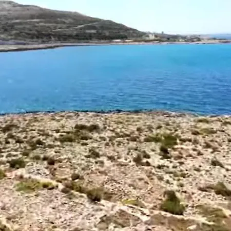 The Palm Court Lejlighed *