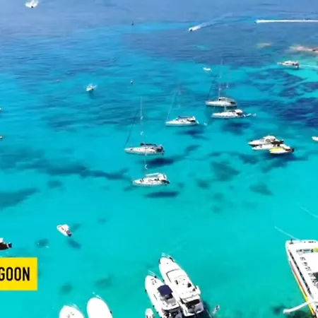 דירה The Palm Court *