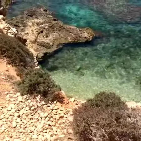 The Palm Court Lejlighed