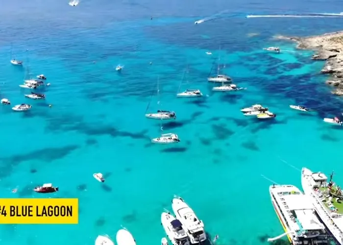 Appartement The Palm Court *