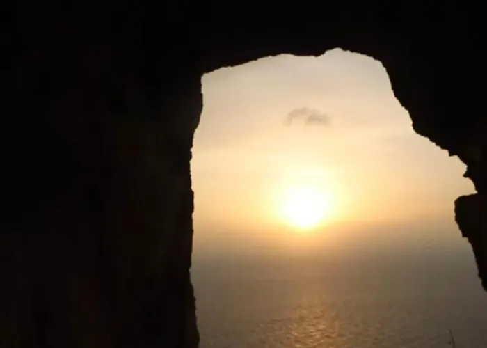 The Palm Court * San Pawl il-Baħar