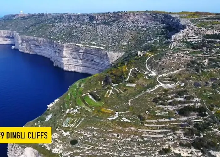 The Palm Court Appartement