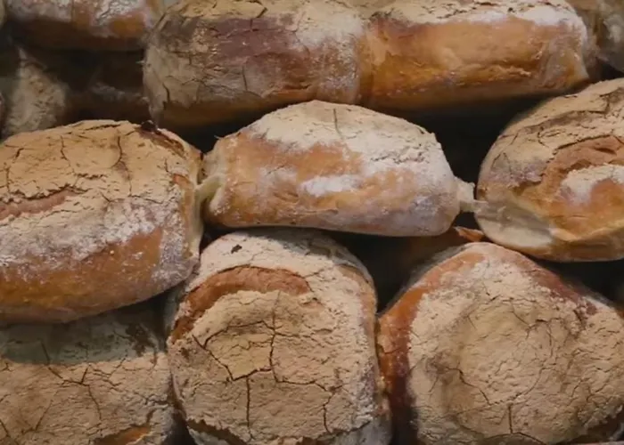 The Palm Court * San Pawl il-Baħar