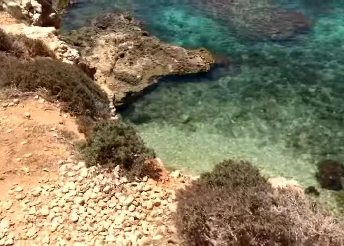 The Palm Court Apartment